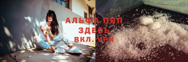 крисы Алзамай