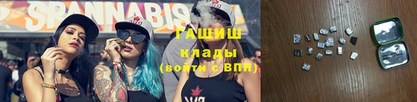 крисы Алзамай