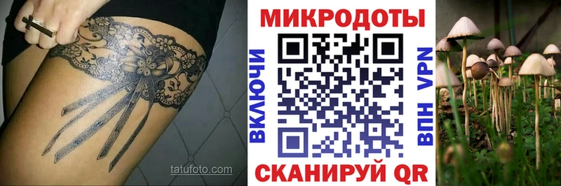 купить  сайты  Пушкино  Псилоцибиновые грибы Psilocybine cubensis 