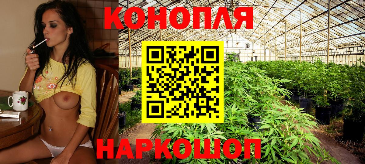 Бошки марихуана тримм Пушкино